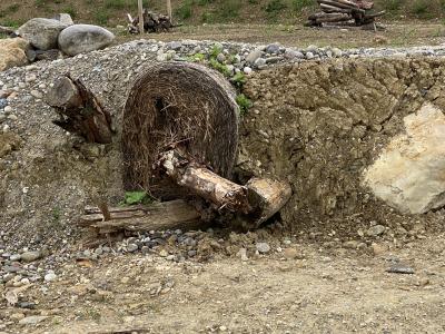 Winterquartier für Amphibien