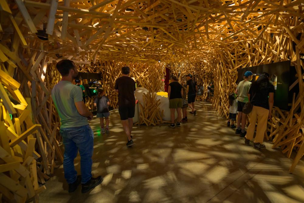 Vogelnest in der Ausstellung aus Holzlatten