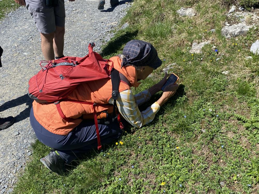 Um Winzlinge zu betrachten, muss man auf die Knie!