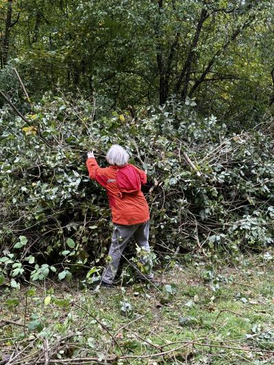 Ein prächtiger Asthaufen