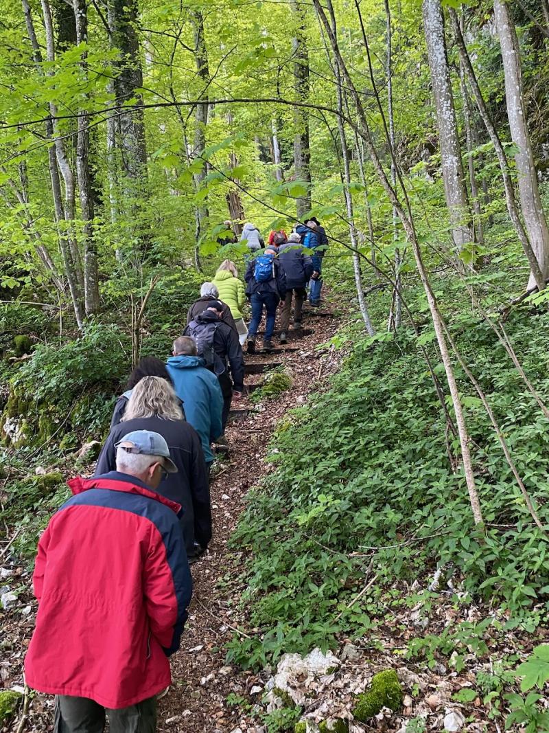 Eine Gruppe Wanderer im Wald