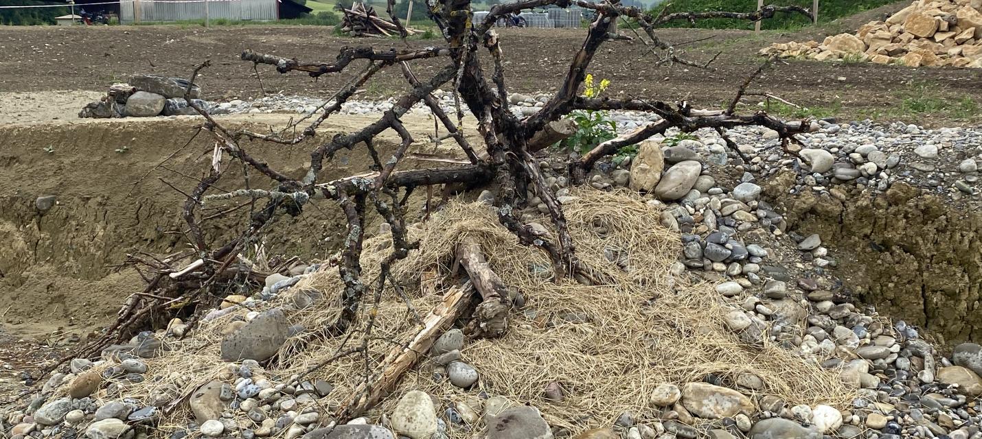 Grube Belser in Erlinsbach