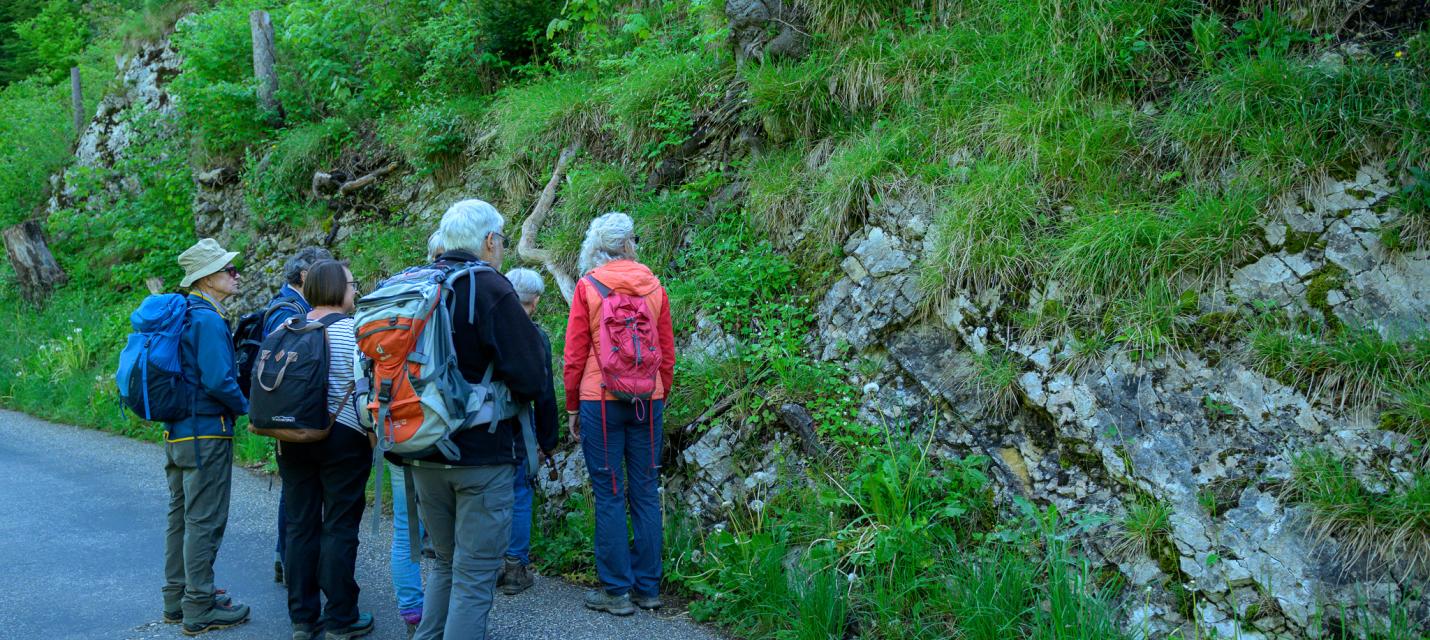 An einem Felsen gibt es immer etwas zu entdecken