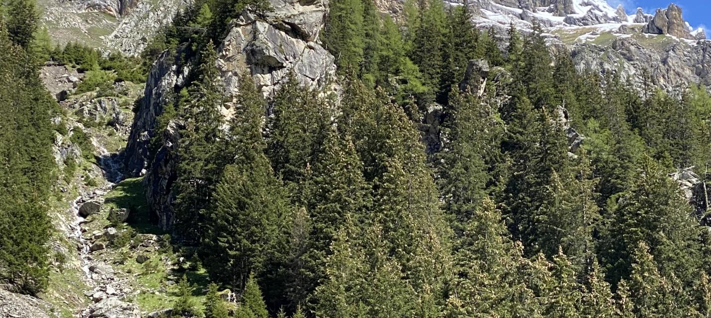 Nebelschleier um die Gipfel im Gasterntal