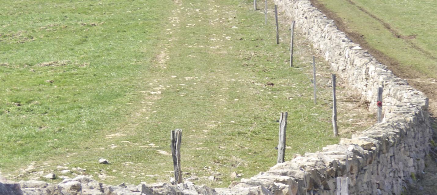 Trockenmauer auf dem Propstenberg