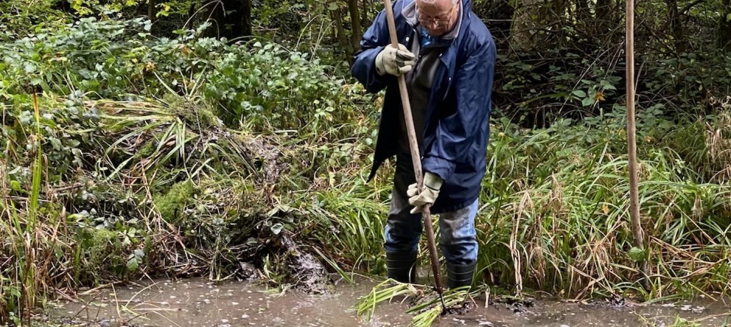 Ein Amphibien-Tümpel wird gereinigt