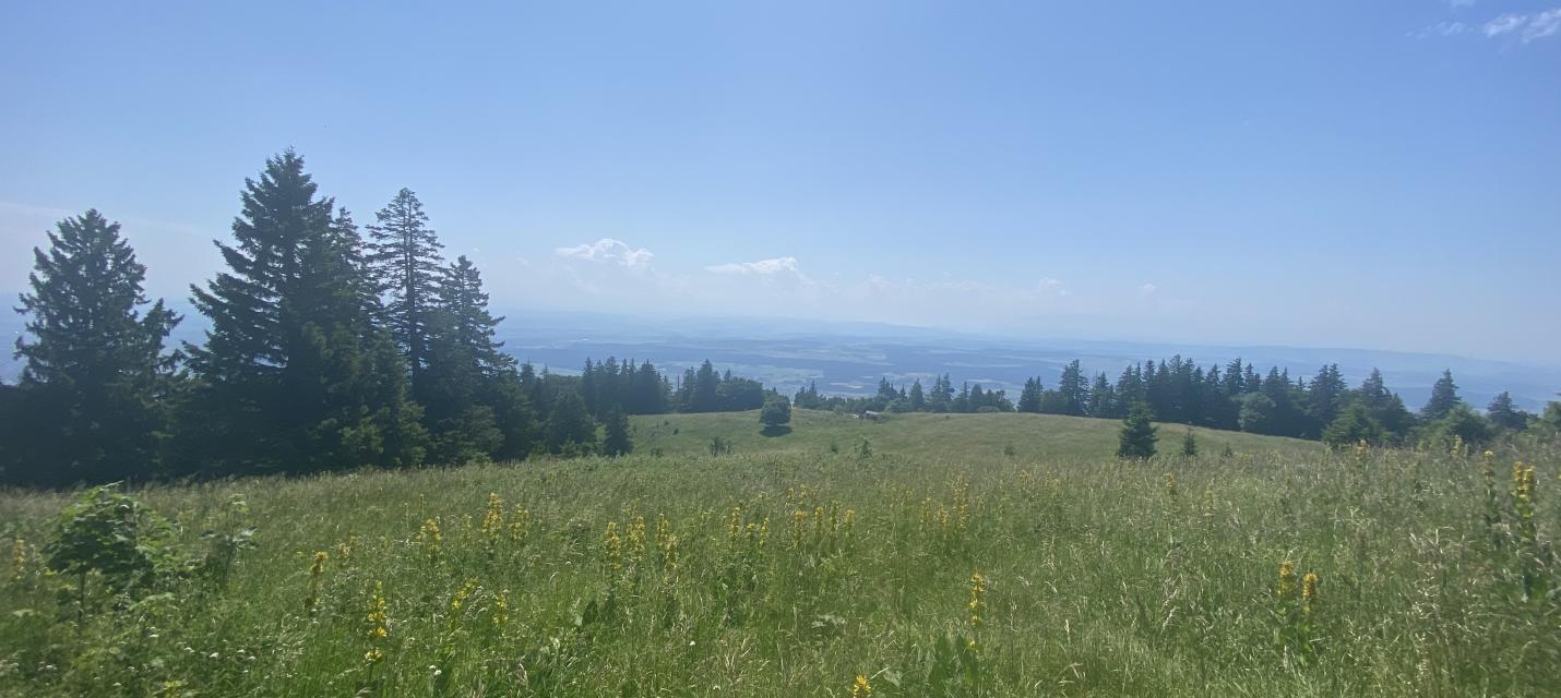 Aussicht vom Bettlachstock