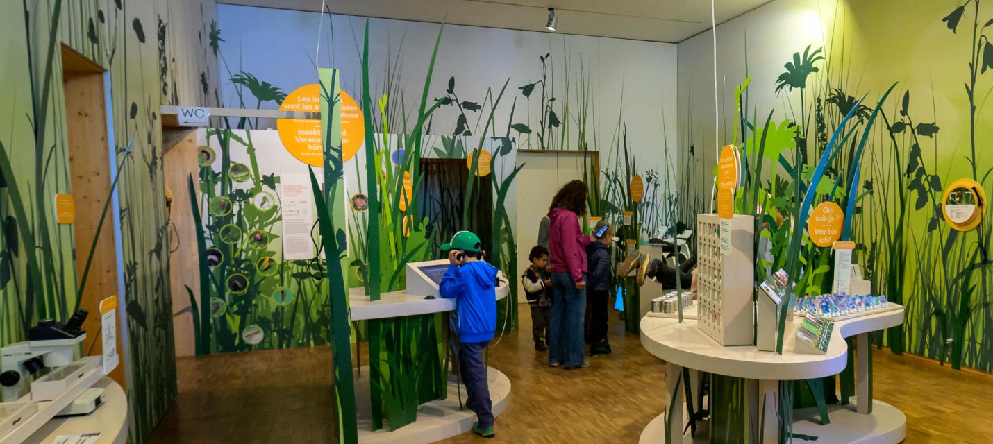 Ausstellung im Naturzentrum La Sauge